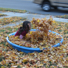 Fall Splish Splash.jpg