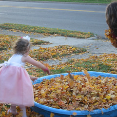 Filling the Pool.jpg