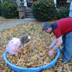 Hiding Zoe in the Leaves.jpg