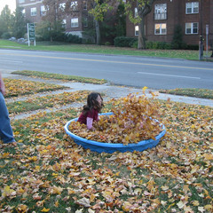 Splashing Around.jpg