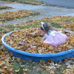 Time for a Swim.jpg