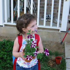 Anas Plant.jpg