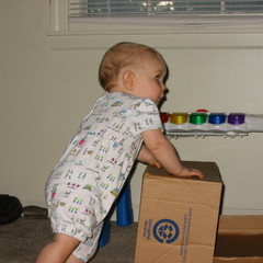 this box is fun.jpg