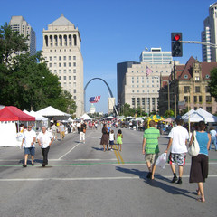 A View of St Louis.jpg