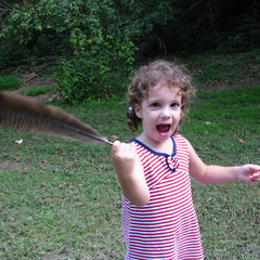 A Giant Feather.JPG