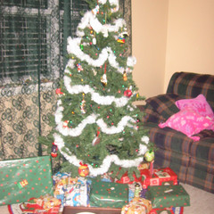 Christmas 2004.JPG