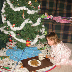 Santas Snack.JPG