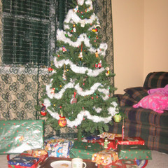 The Christmas Tree.JPG