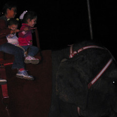 Elephant Ride.jpg