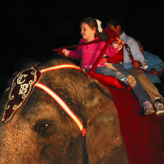 Riding an Elephant.jpg