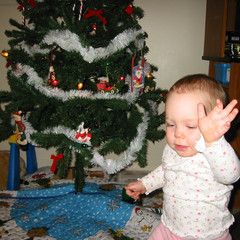 no pictures please.jpg