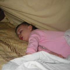 Zonked Out.JPG