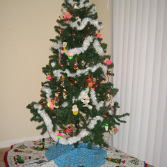 Our Christmas Tree.jpg
