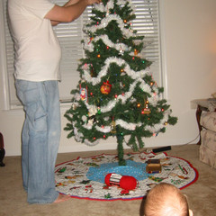 Dad is Taller than the Tree.JPG