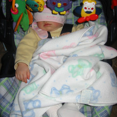 Snug as a Bug.JPG