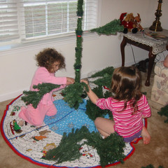 The Beginning of the Tree.JPG