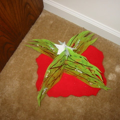 The Tree from the Top.JPG