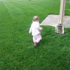 heading for water.jpg