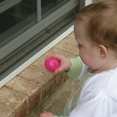 the last egg.jpg