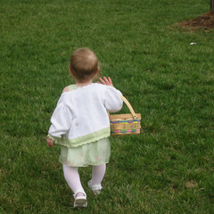this way to the next egg.jpg