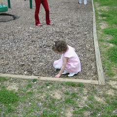 Hunting Eggs.jpg