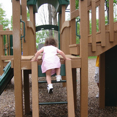 Up the Ladder.jpg