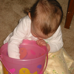 Digging Out Eggs.JPG