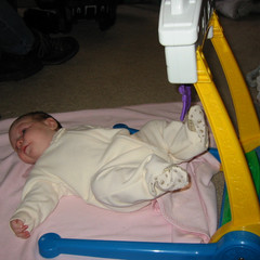kick n play.jpg