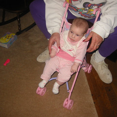 Baby or Baby doll.jpg