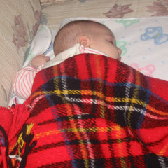 Snoozin.jpg