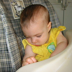 A Dinner and a Nap.jpg