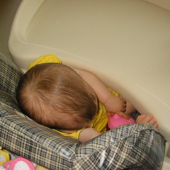 A Nap and A Full Belly.jpg