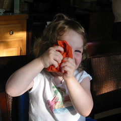 Say Cheese.jpg