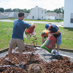 Pine Bark Nuggets.jpg