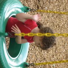 Tire Swing.JPG