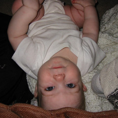 look up aubri.jpg