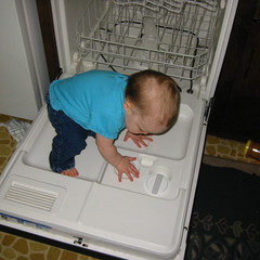 checking it.jpg