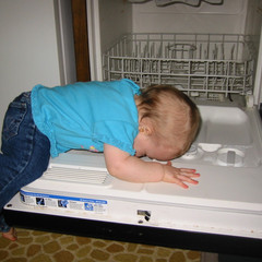 trying to get on.jpg