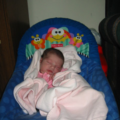 Curled Up In Pink.jpg