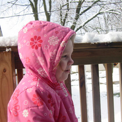 It is Cold.jpg