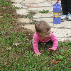Venturing to the Grassland.jpg