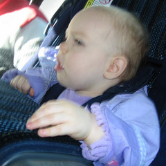 in the car.jpg
