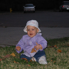 look a leaf.jpg