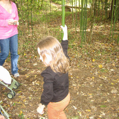Raising Cane.jpg