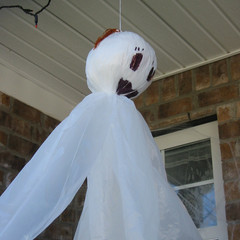 Aubris Ghost with a ponytail.jpg