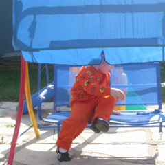 Mastering the Canopy.jpg