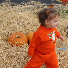 Ana Hunting Pumpkins.jpg