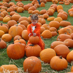 Anastasias Pumpkin.jpg