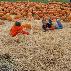 Playing at the Pumpkin Patch.jpg