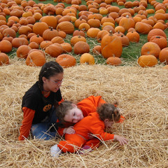 Playing in the Straw.jpg